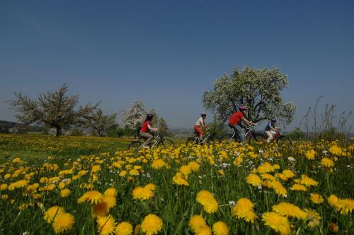 Hotel de Charme Römerhof - image 8
