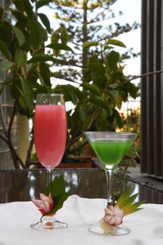 Hotel Do Campo - image 2