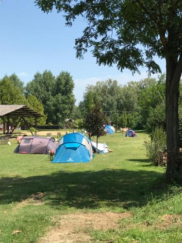 Garden, Oliver Inn Camping in Balatonlelle