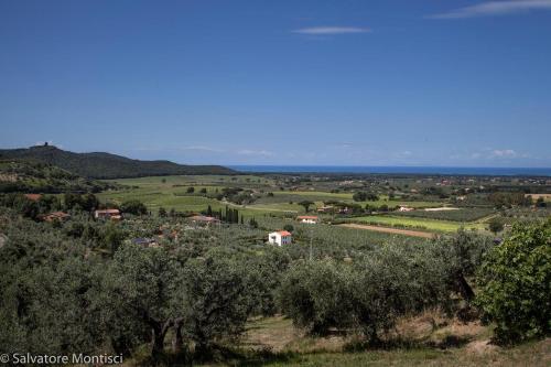 Casetta sulla Bolgherese immersa nel Verde