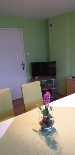  Apartment Knez-Gacka, Pension in Ličko Lešće