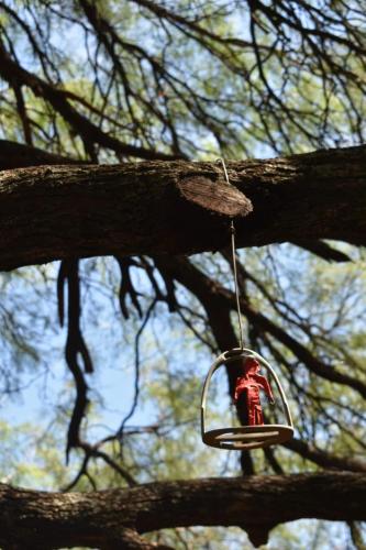 Casa Venus en Acuario in San Marcos Sierras