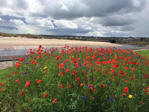 The Jewel of the Moray Firth in Lossiemouth