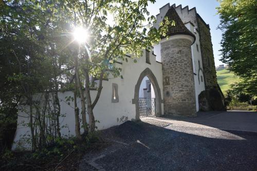 Schloss Wartensee