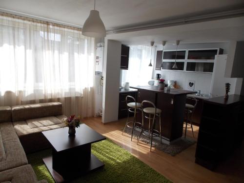 . Central Apartment Suceava