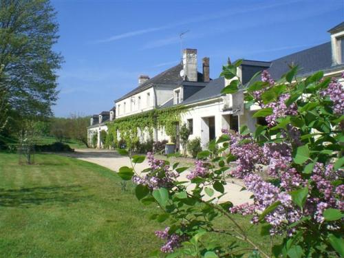 La Mesnagerie - Chambre d'hôtes - Jarzé-Villages