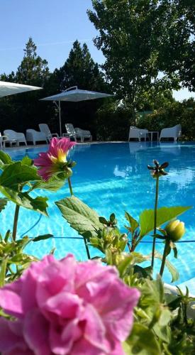  Agriturismo Pirro in Troia
