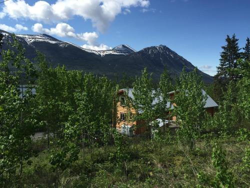 Cabins Over Crag Lake