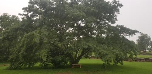 Fairway Inn in Berryville, USA