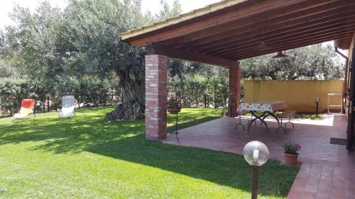  House surrounded by olive trees, Cartabubbo bei Burgio