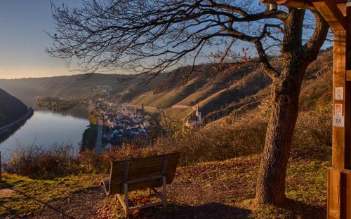 Ferienwohnungen Haus am Würzlaysteig