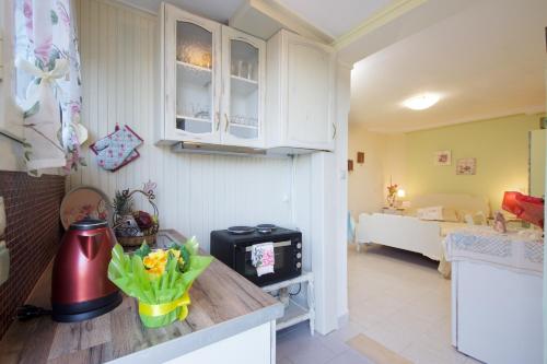  Erato Apartment in Argostoli in Argostoli