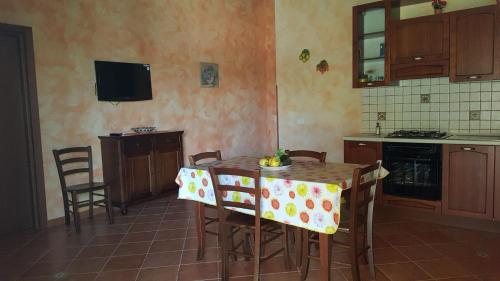  House surrounded by olive trees in Cartabubbo