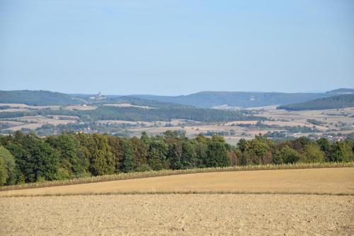 Apartment Therme Natur - Ferienhaus "Zum Goldenen Löwen"