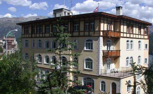 Soldanella in St. Moritz, Schweiz