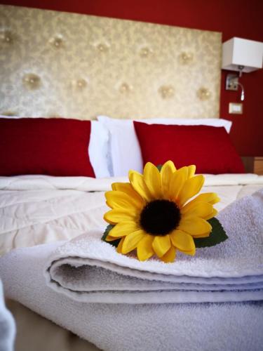 Sant'Oronzo B&B - image 5