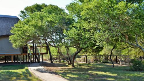 Garden Route Safari Camp