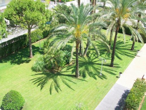 FLORESTA GANDIA - Solo Familias - image 2