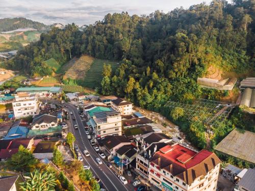 Surrounding environment, Wogoxette Upstairs, A Private Kampung Stay In Cameron Highlands in Kuala Terla