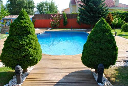 B&B Concha - image 6