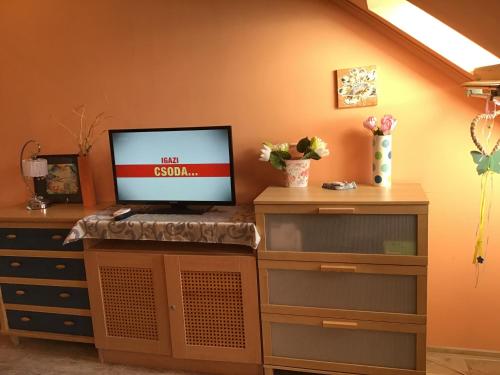 Family Wellness Apartman