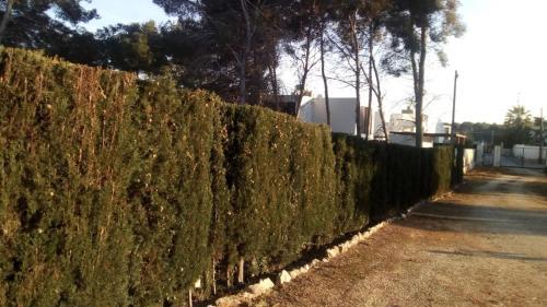 pinomar, Teulada (foto 6)