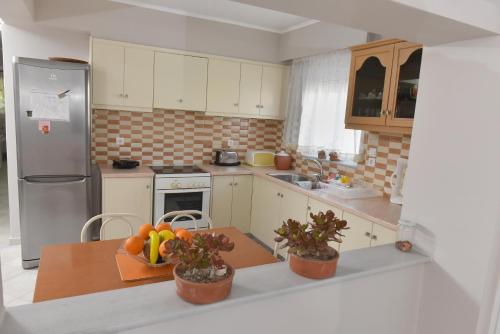 Fanis Apartment in 萊查伊奧