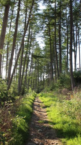 Pitlochry Youth Hostel