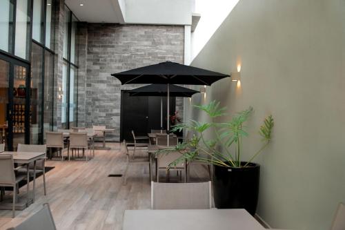 設施, Rio Hotel by Bourbon Ciudad Del Este in 埃斯特城