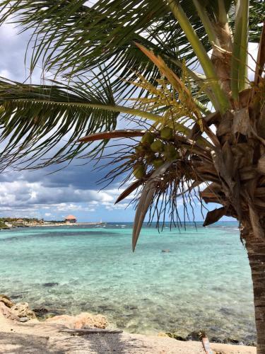 索尔阿祖尔酒店 索尔阿祖尔酒店