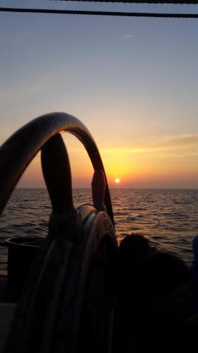  tjalkjacht pelikaan enkhuizen in Enkhuizen