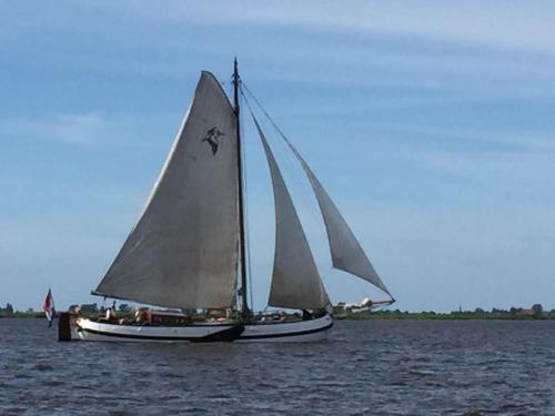  tjalkjacht pelikaan enkhuizen in Enkhuizen