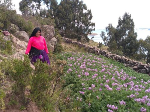 Ullayopampa Taquile Familia Celso 3-Star Hotel restaurant