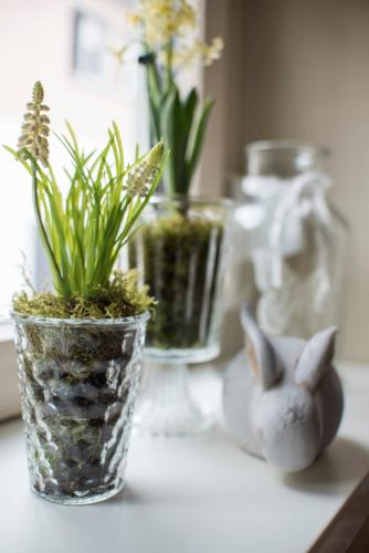 Schlafplätzle Schlafplätzle