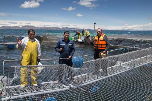 Yacht Lago Titicaca