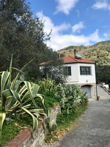  Casa Mediterraneo in Diano San Pietro