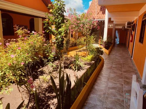 สวน, Pousada Paradise in อัลโกบากา