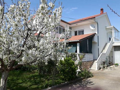  Apartmani Bušljeta, Pension in Nin