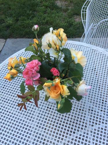  Santarosa Suites in Savigliano