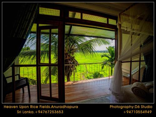 Heaven Upon Rice Fields Anuradhapura