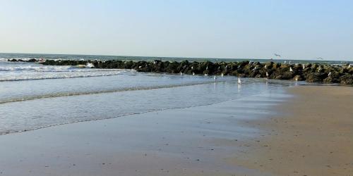 Sunny Bank Westende Zeezicht