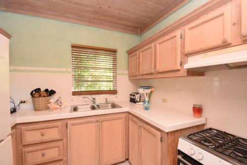Kitchen, The Sugar Apple Lodging in Dunmore Town