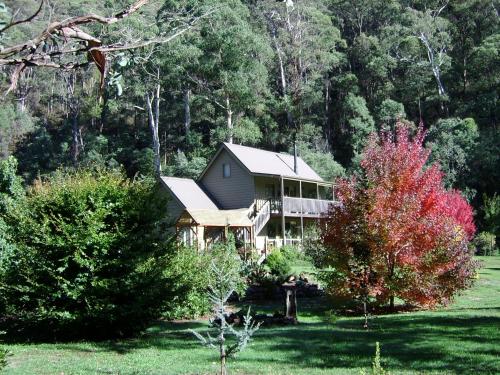 shady brook cottages