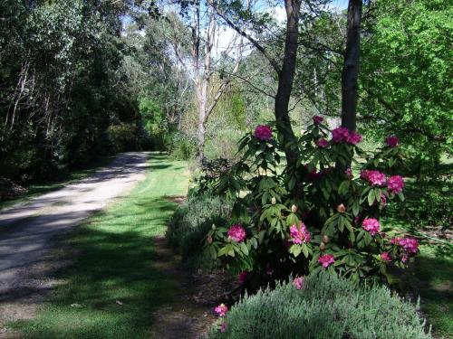 shady brook cottages