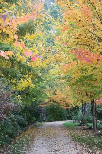 shady brook cottages