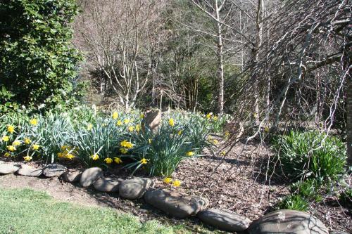 shady brook cottages