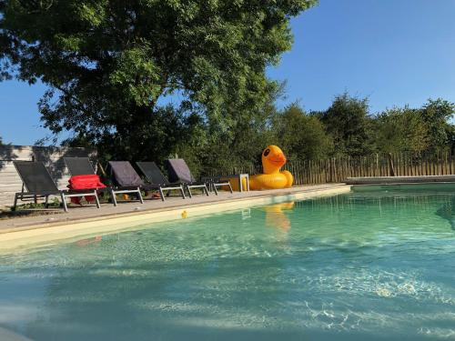 Charmante maison de campagne avec piscine