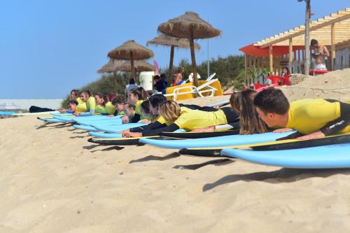 

Next Level Surf Camp