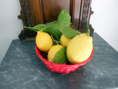  B&B Stella in Vico Equense