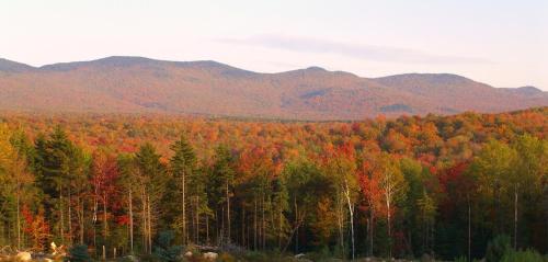 Robert Frost Mountain Cabins